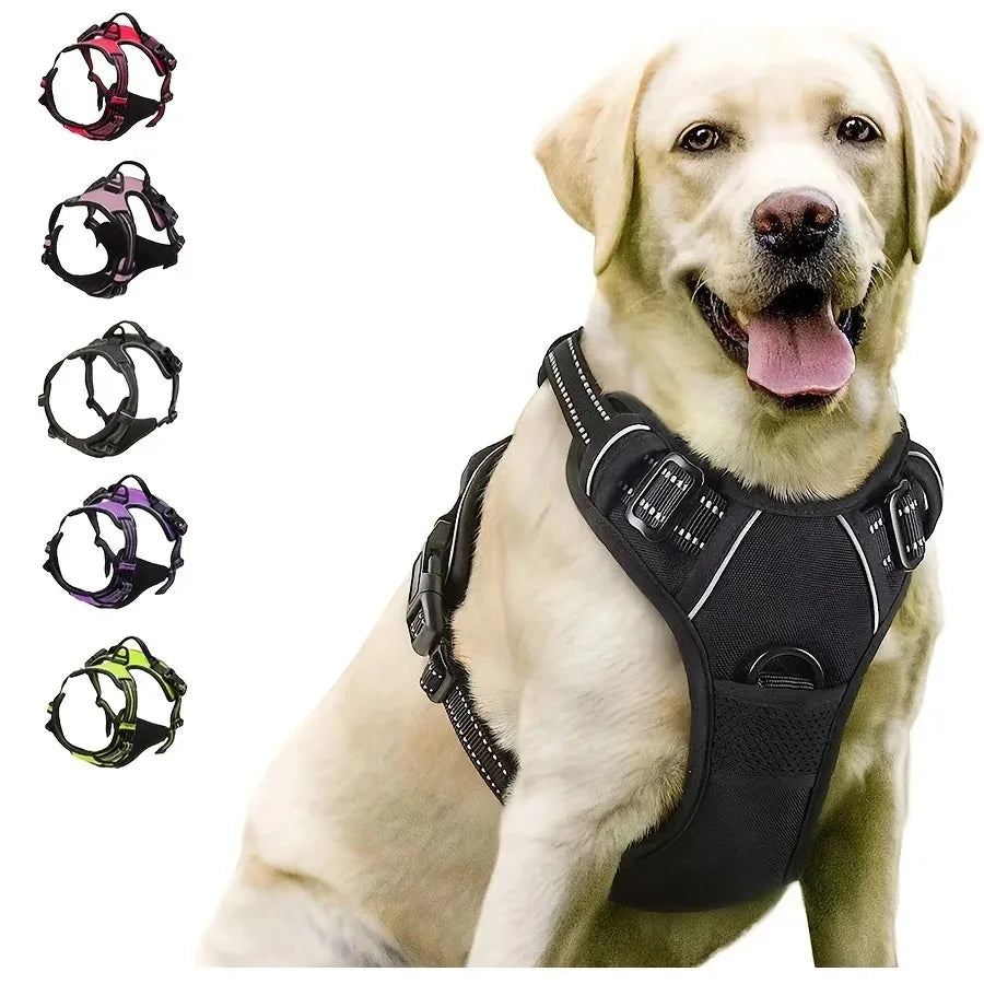 Arnes y Collar para Perro - Chaleco con Correa para Cachorros Pequeños y Medianos