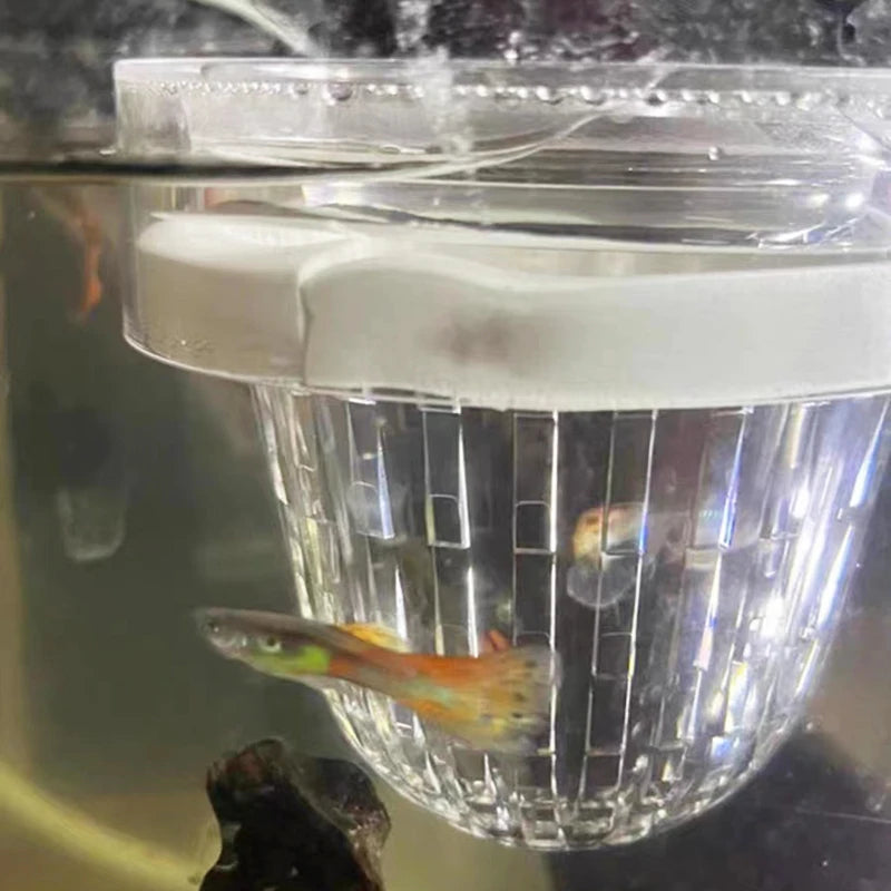 Caja de Cría Acrílica para Acuario - Separador de Peces con Ventosa para Alevines y Camarones