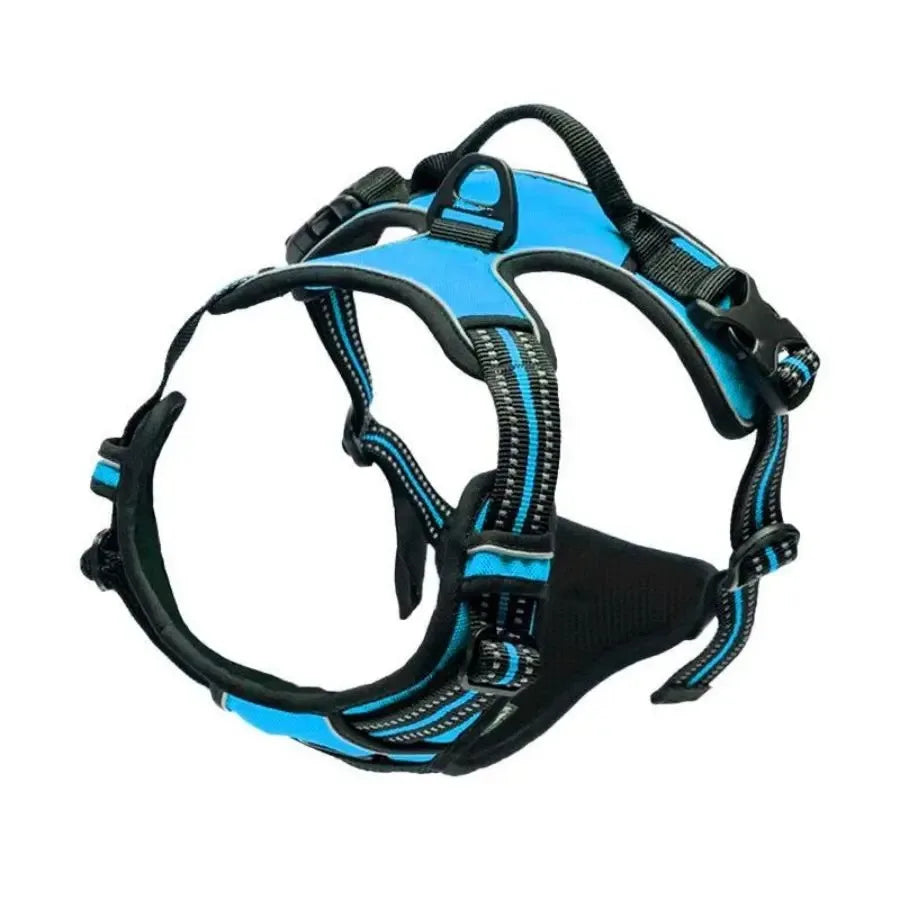 Arnes y Collar para Perro - Chaleco con Correa para Cachorros Pequeños y Medianos