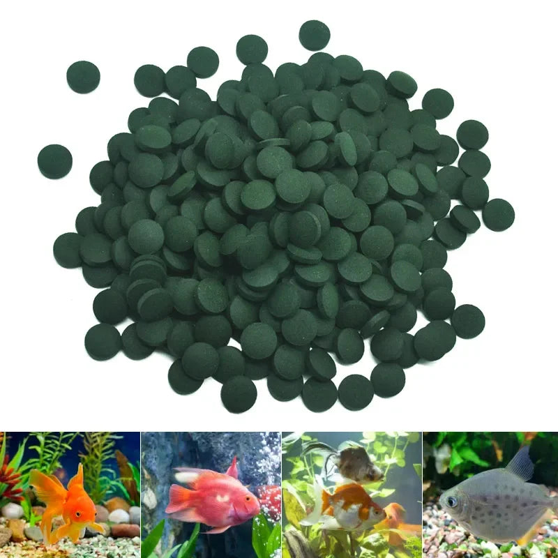 50-1000 Tabletas de Espirulina de Alta Pureza para Peces - Alimento para Camarones Cristal Rojo y Peces de Acuario