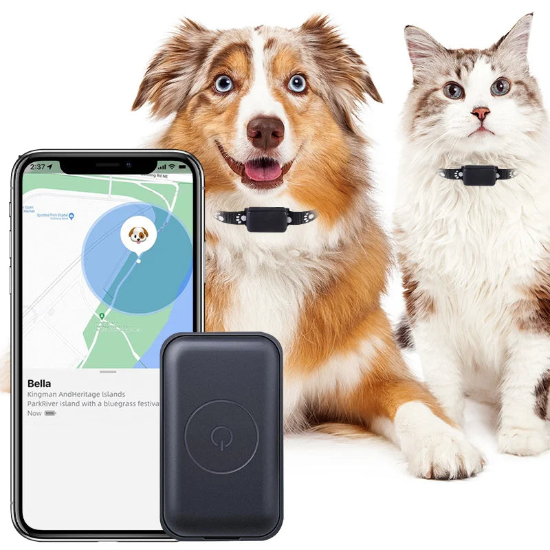 Localizador GPS para Mascotas con Collar Ajustable - Seguimiento en Tiempo Real, Control Remoto AGPS para Perros y Gatos