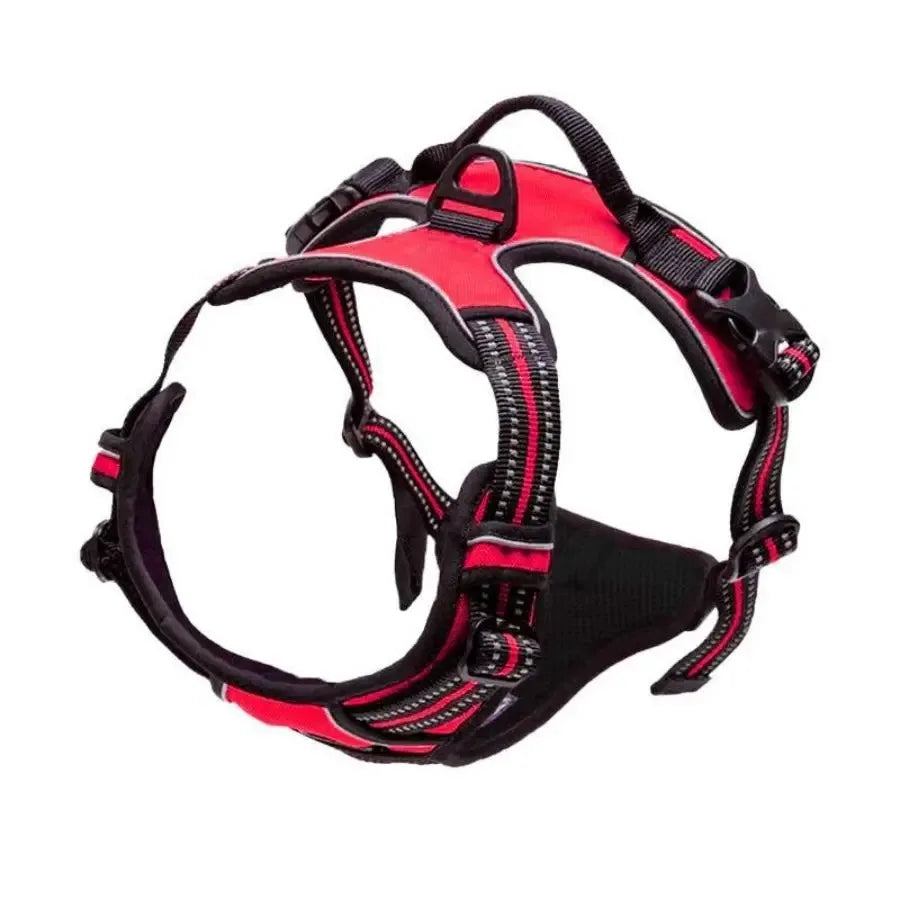 Arnes y Collar para Perro - Chaleco con Correa para Cachorros Pequeños y Medianos