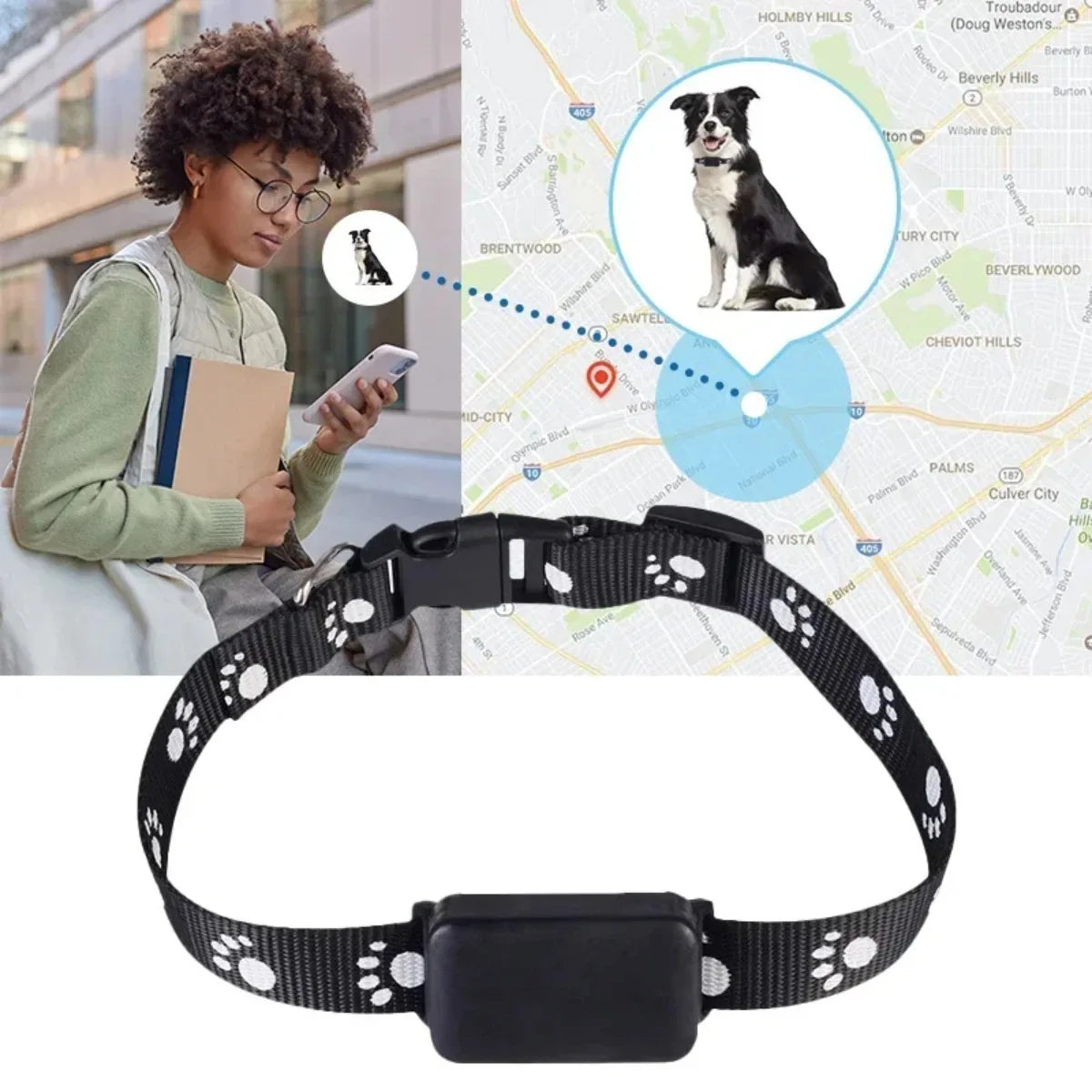 Localizador GPS para Mascotas con Collar Ajustable - Seguimiento en Tiempo Real, Control Remoto AGPS para Perros y Gatos