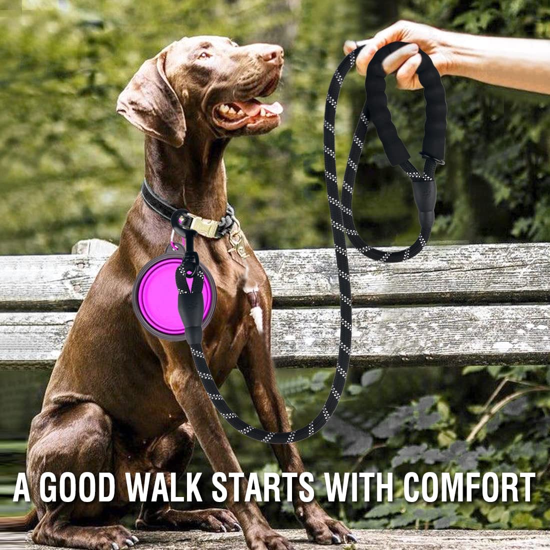 Correa Resistente para Perros con Reflectante - Trailla para Perros Pequeños, Medianos y Grandes
