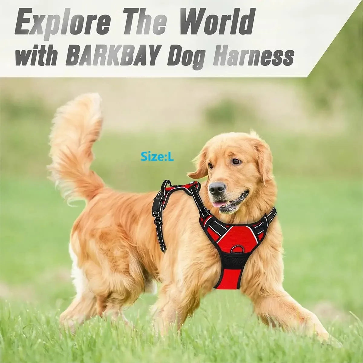 Arnes y Collar para Perro - Chaleco con Correa para Cachorros Pequeños y Medianos