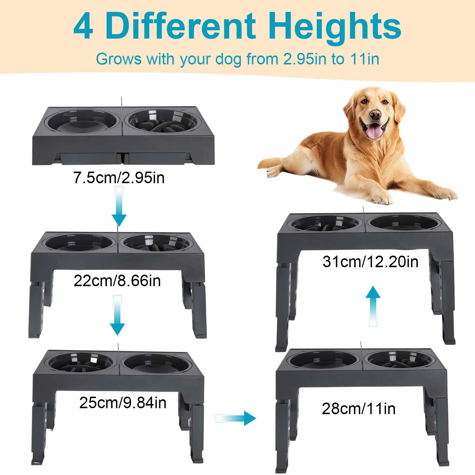 Elevated Dog Feeder Adjustable Raised Stand Dog Bowls with Double Stainless Steel Food Water Bowls for Small Medium Large Dogs