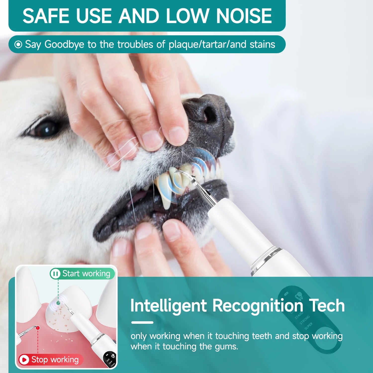 Limpiador Dental Ultrasónico para Perros y Gatos CURVY MOON - Eliminación de Sarro con Luz LED