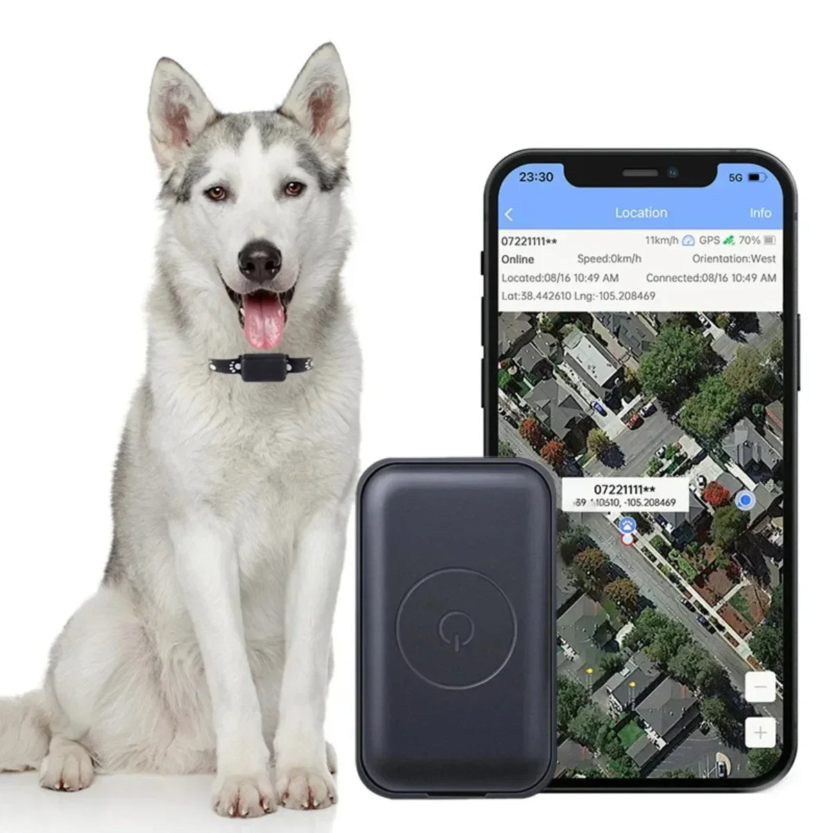 Localizador GPS para Mascotas con Collar Ajustable - Seguimiento en Tiempo Real, Control Remoto AGPS para Perros y Gatos