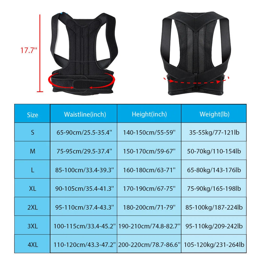 Soporte Lumbar Ergonómico Ajustable - Cinturón de Espalda para Deporte y Oficina