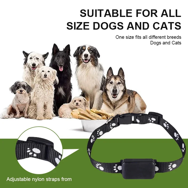 Localizador GPS para Mascotas con Collar Ajustable - Seguimiento en Tiempo Real, Control Remoto AGPS para Perros y Gatos