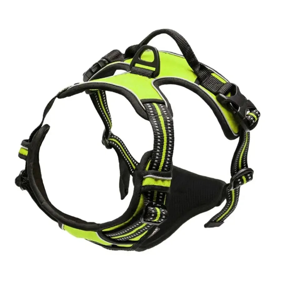 Arnes y Collar para Perro - Chaleco con Correa para Cachorros Pequeños y Medianos