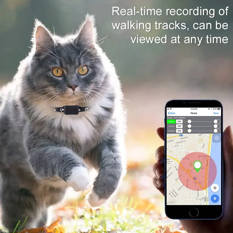 Localizador GPS para Mascotas con Collar Ajustable - Seguimiento en Tiempo Real, Control Remoto AGPS para Perros y Gatos