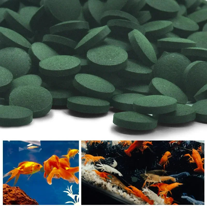 50-1000 Tabletas de Espirulina de Alta Pureza para Peces - Alimento para Camarones Cristal Rojo y Peces de Acuario