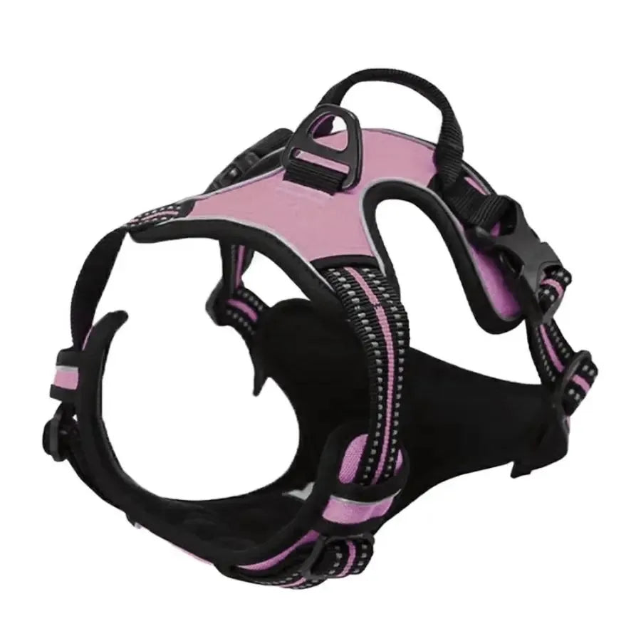 Arnes y Collar para Perro - Chaleco con Correa para Cachorros Pequeños y Medianos