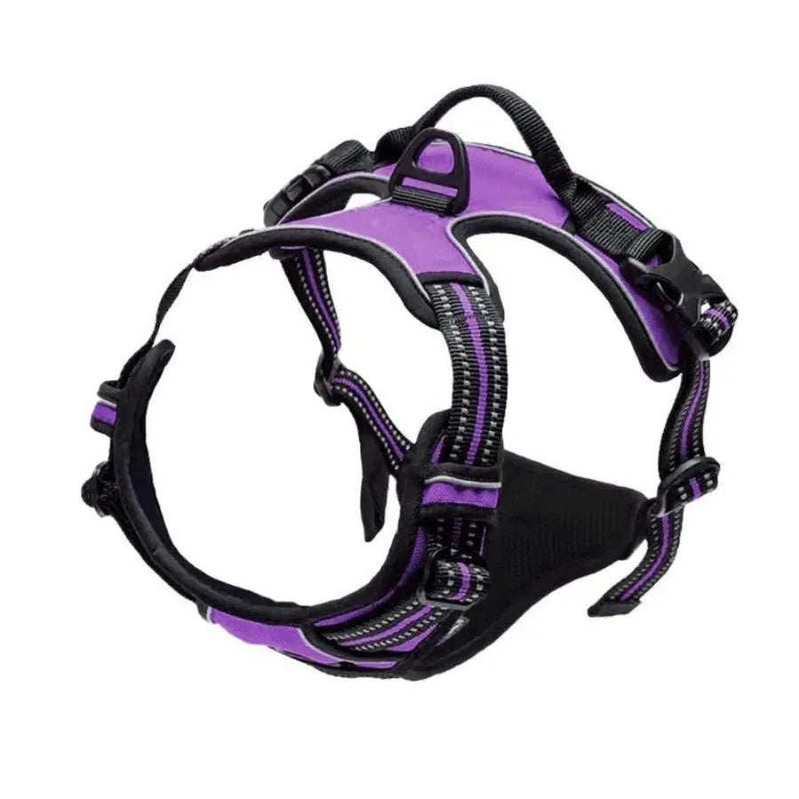 Arnes y Collar para Perro - Chaleco con Correa para Cachorros Pequeños y Medianos