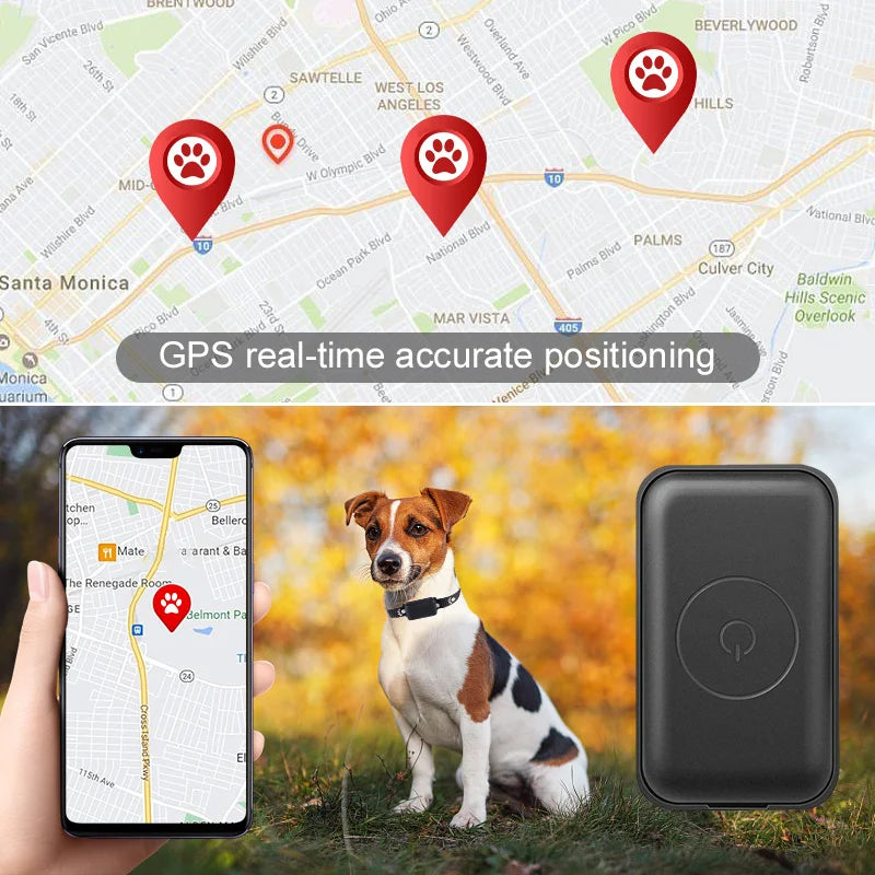 Localizador GPS para Mascotas con Collar Ajustable - Seguimiento en Tiempo Real, Control Remoto AGPS para Perros y Gatos