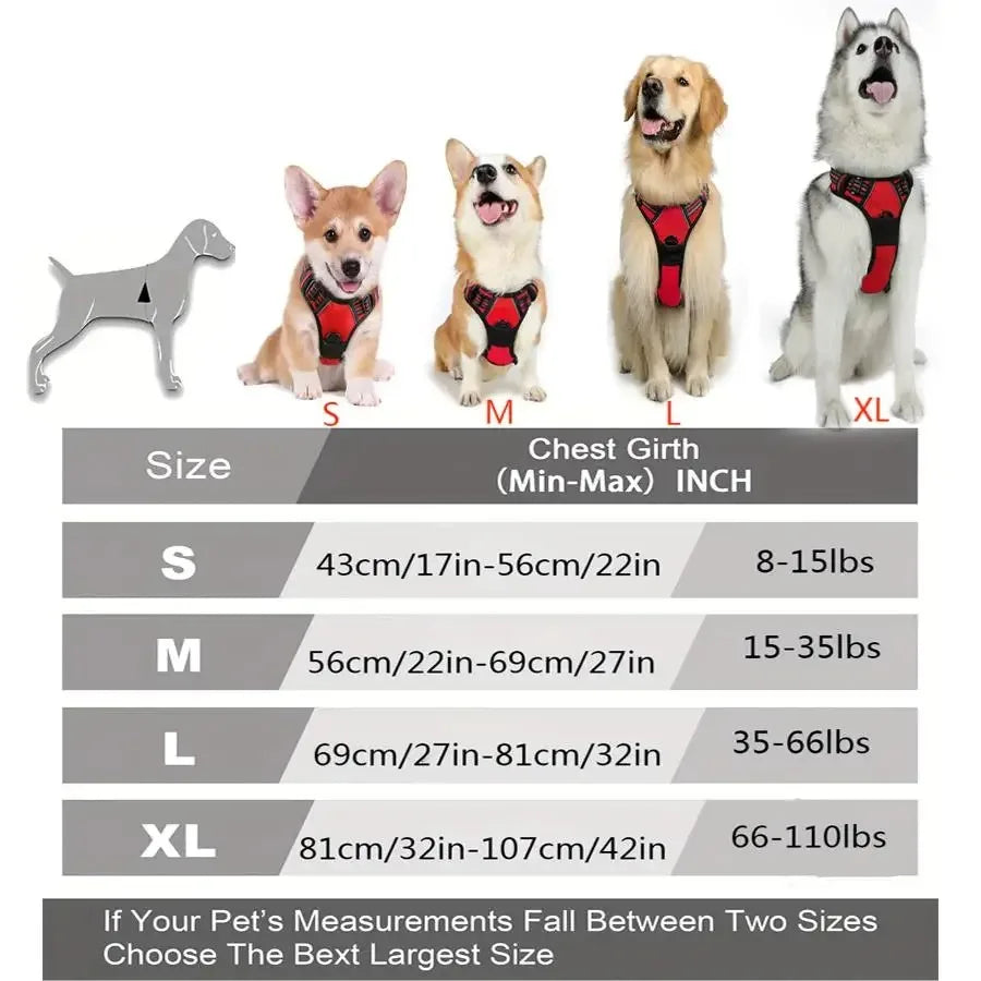 Arnes y Collar para Perro - Chaleco con Correa para Cachorros Pequeños y Medianos