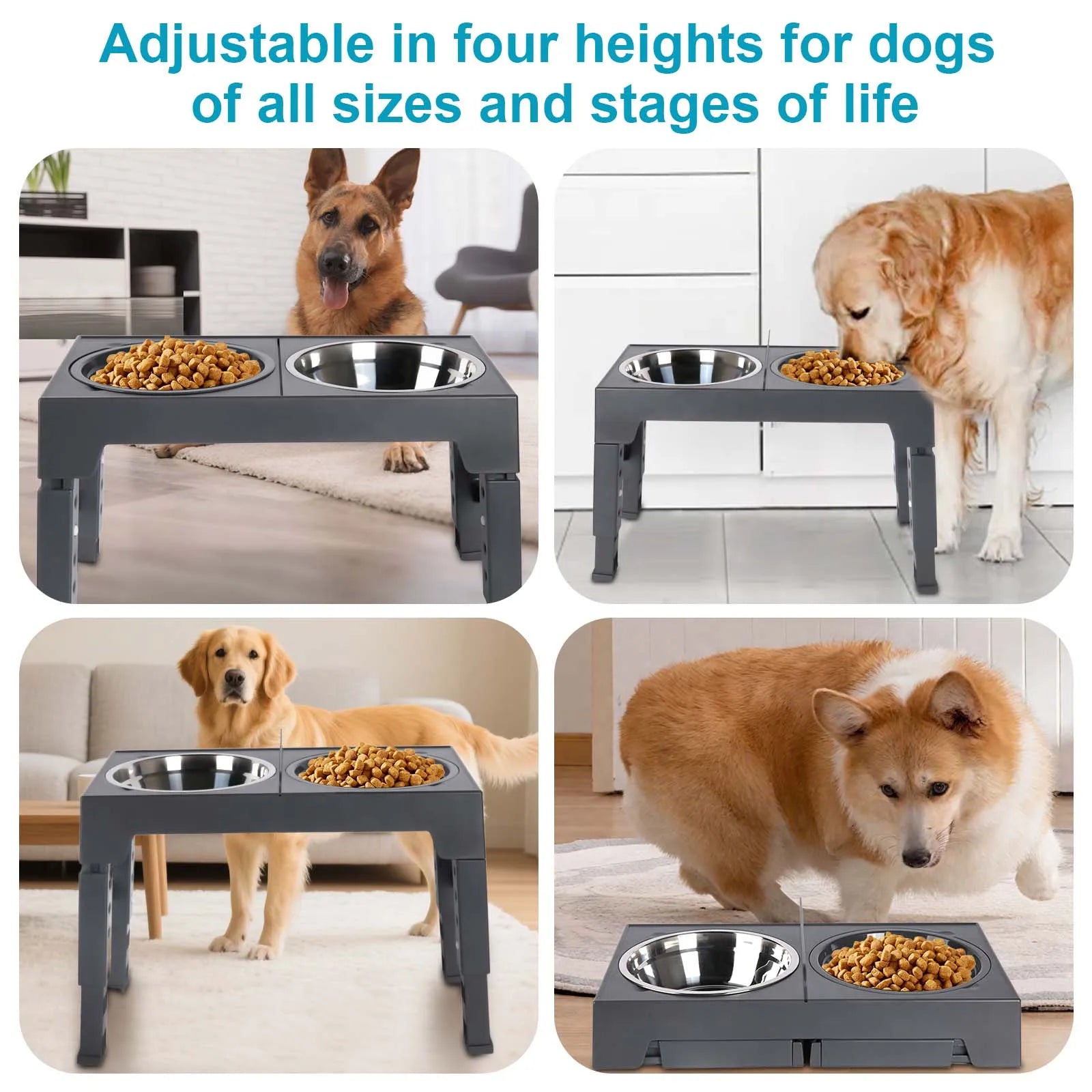 Elevated Dog Feeder Adjustable Raised Stand Dog Bowls with Double Stainless Steel Food Water Bowls for Small Medium Large Dogs