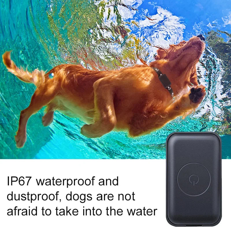 Localizador GPS para Mascotas con Collar Ajustable - Seguimiento en Tiempo Real, Control Remoto AGPS para Perros y Gatos