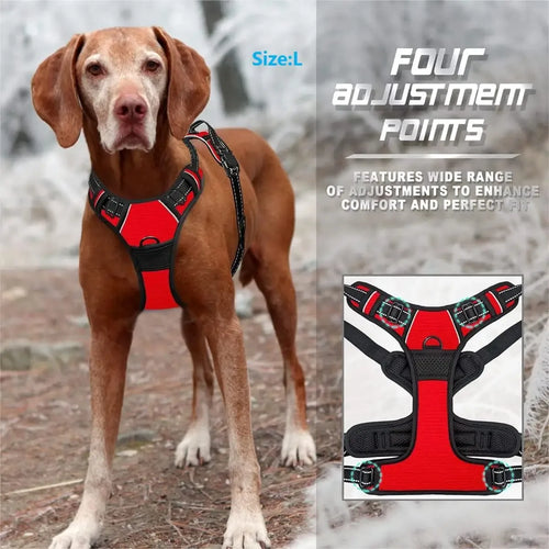 Arnes y Collar para Perro - Chaleco con Correa para Cachorros Pequeños y Medianos