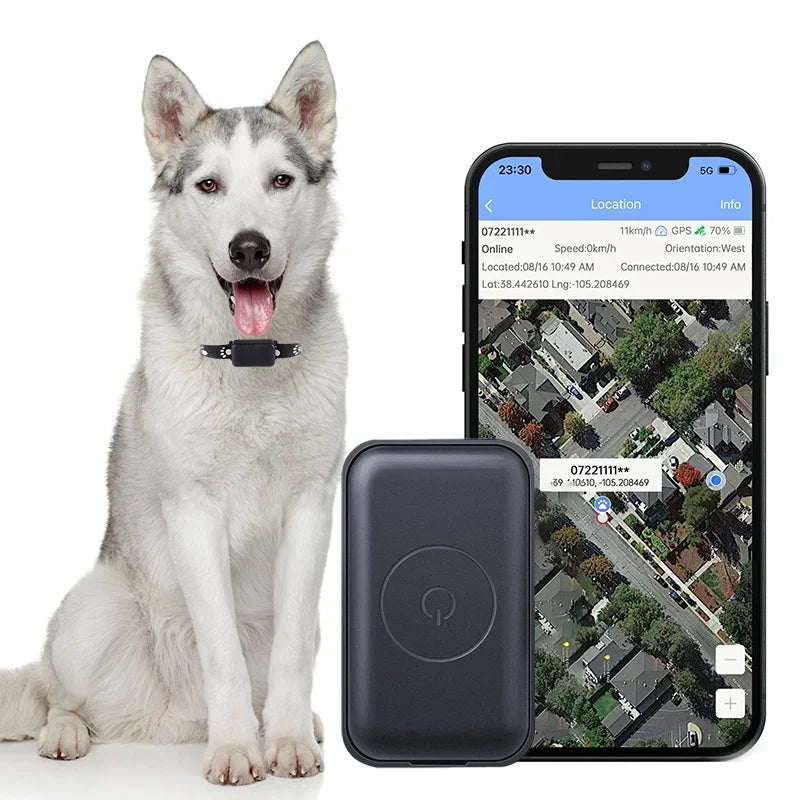Localizador GPS para Mascotas con Collar Ajustable - Seguimiento en Tiempo Real, Control Remoto AGPS para Perros y Gatos