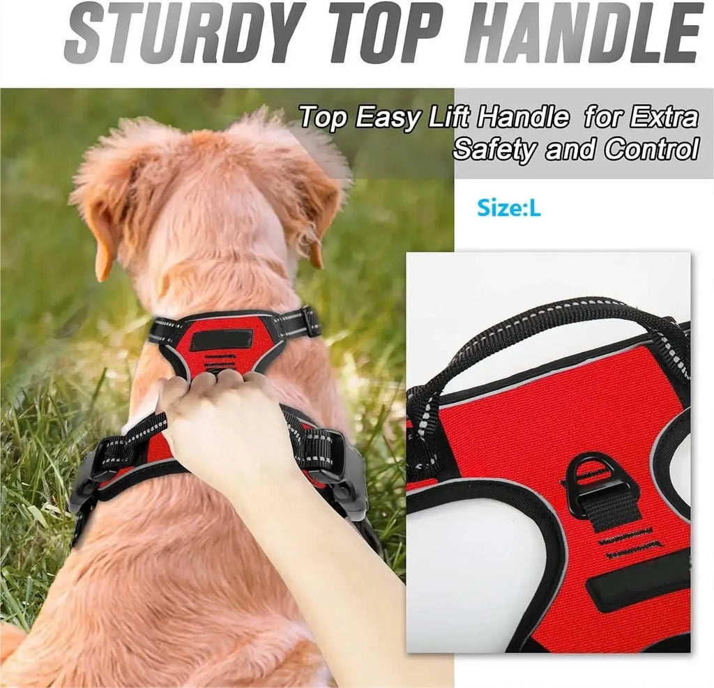 Arnes y Collar para Perro - Chaleco con Correa para Cachorros Pequeños y Medianos