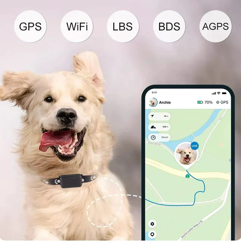Localizador GPS para Mascotas con Collar Ajustable - Seguimiento en Tiempo Real, Control Remoto AGPS para Perros y Gatos