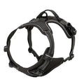 Arnes y Collar para Perro - Chaleco con Correa para Cachorros Pequeños y Medianos
