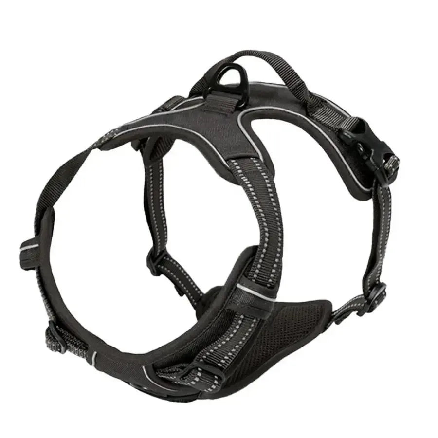 Arnes y Collar para Perro - Chaleco con Correa para Cachorros Pequeños y Medianos
