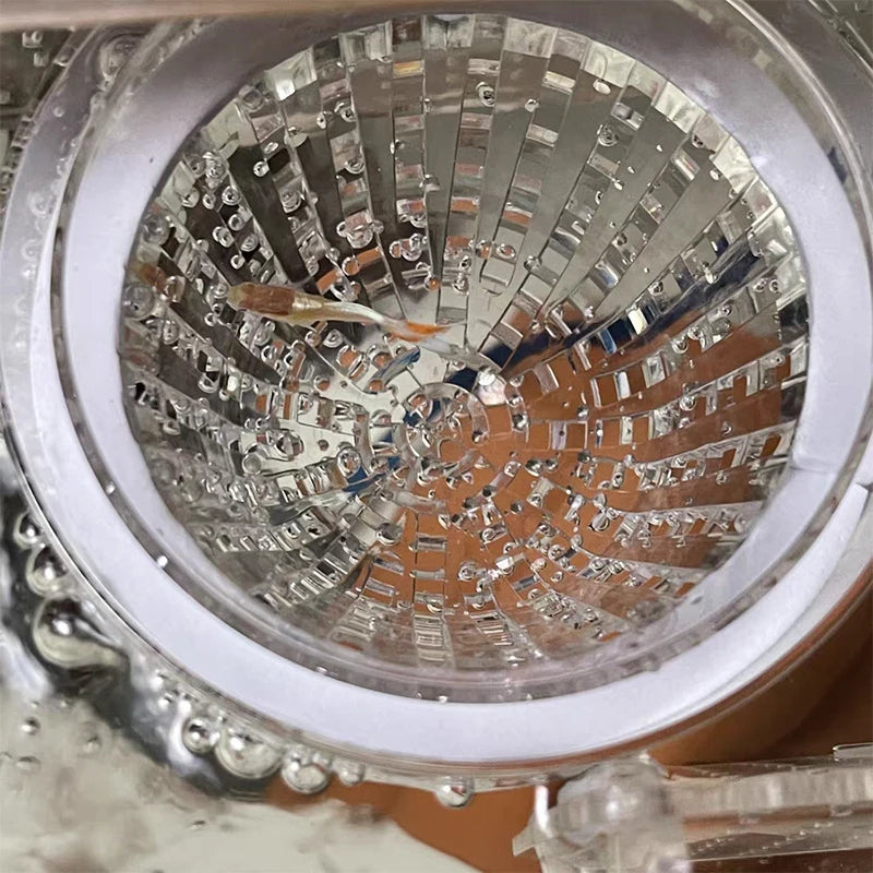 Caja de Cría Acrílica para Acuario - Separador de Peces con Ventosa para Alevines y Camarones
