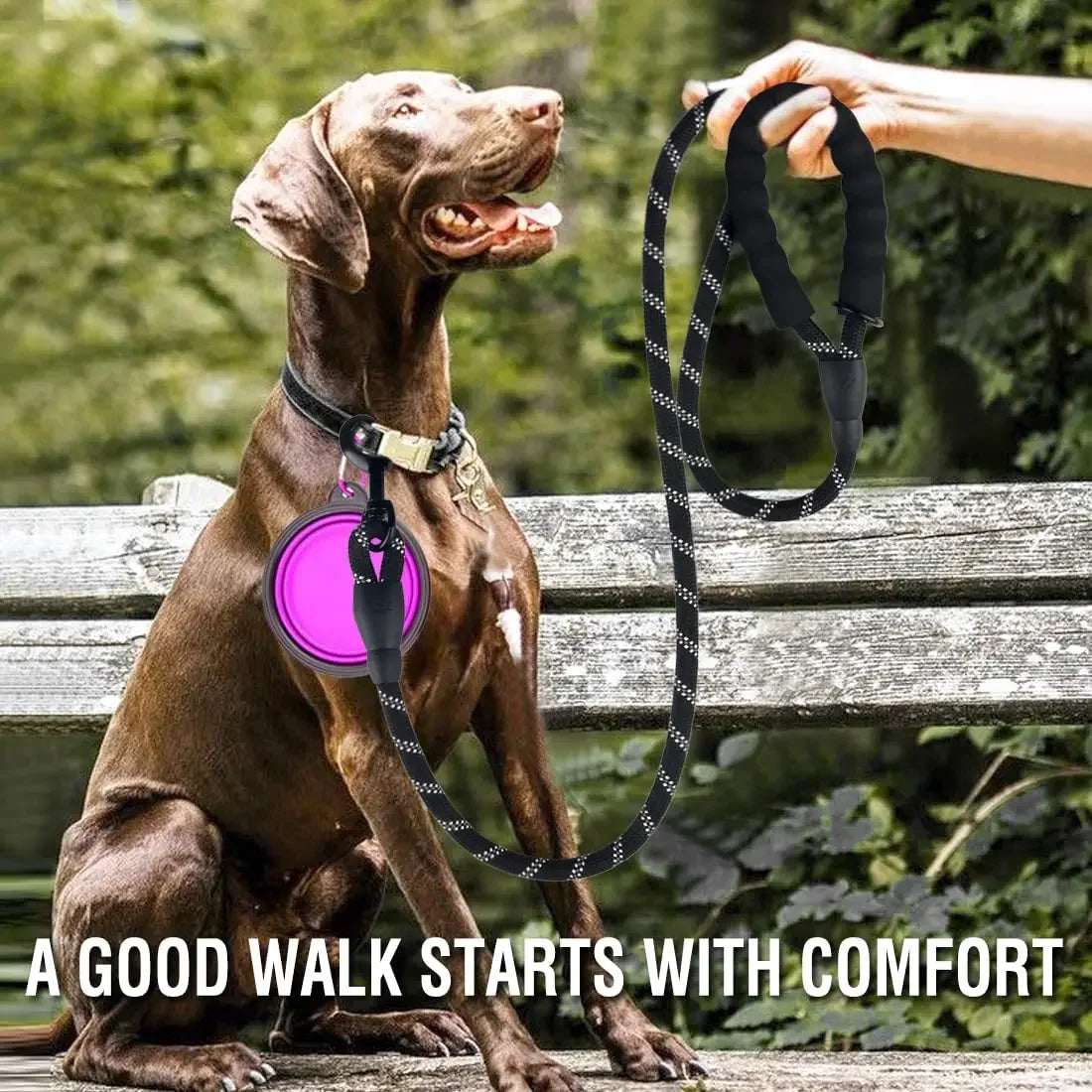 Correa Resistente para Perros con Reflectante - Trailla para Perros Pequeños, Medianos y Grandes